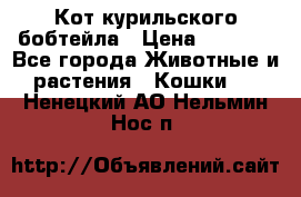 Кот курильского бобтейла › Цена ­ 5 000 - Все города Животные и растения » Кошки   . Ненецкий АО,Нельмин Нос п.